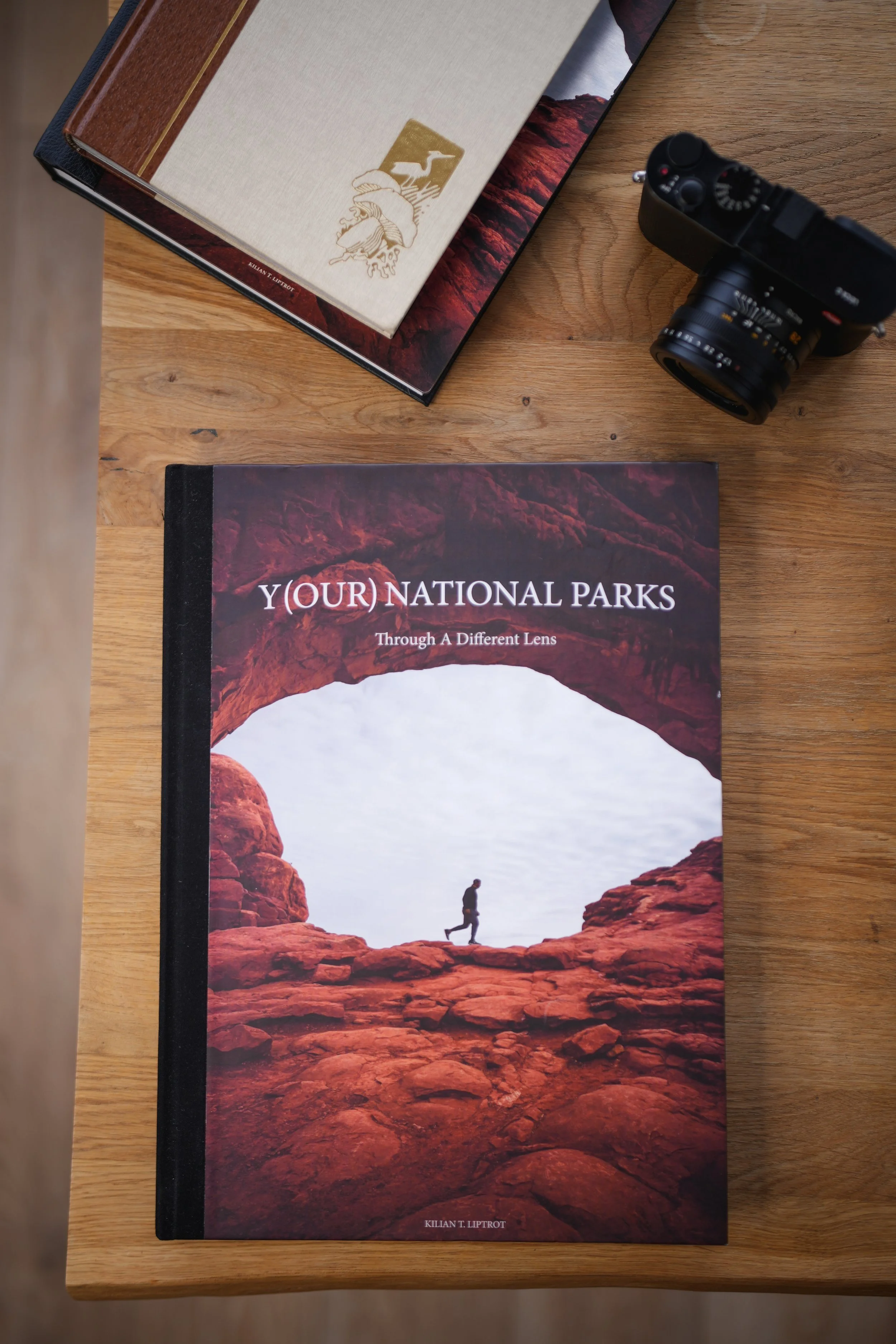 Inside Y(Our) National Parks, published by Blinding Visuals Press.